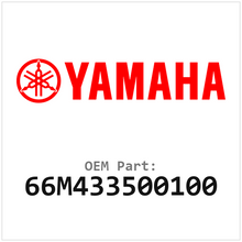 66M433500100