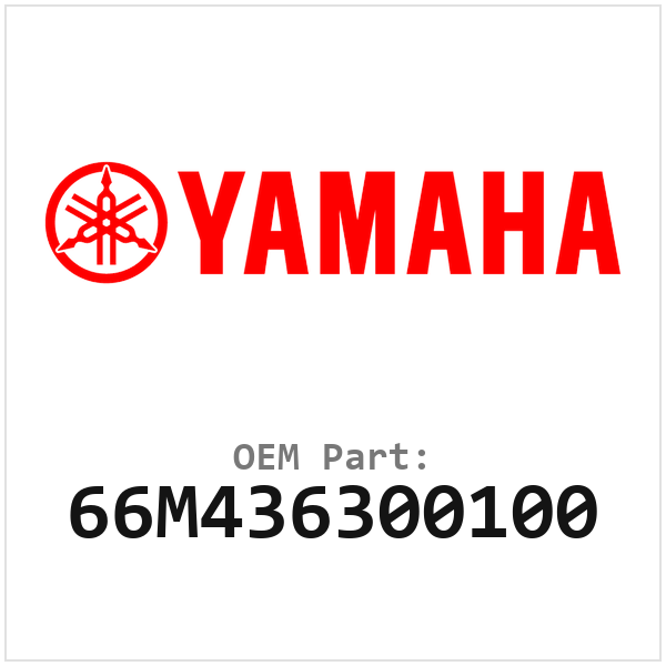 66M436300100
