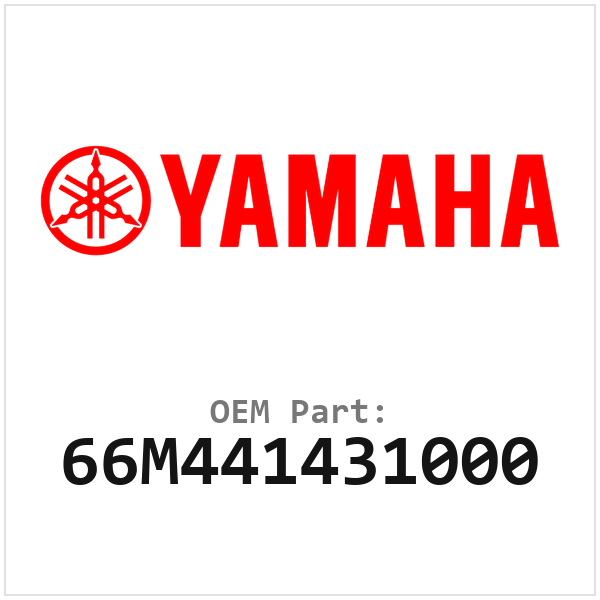 66M441431000