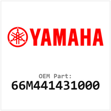 66M441431000