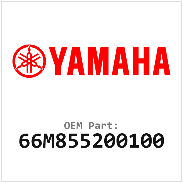 66M855200100