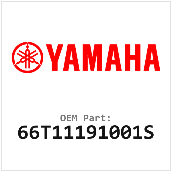 66T11191001S
