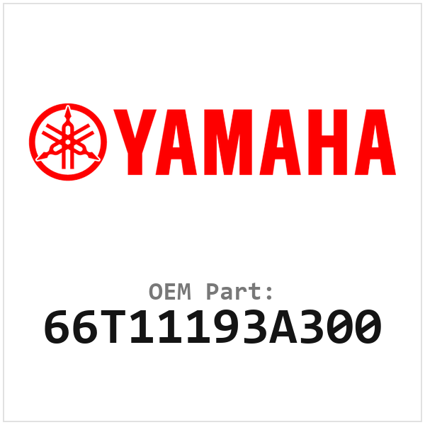 66T11193A300
