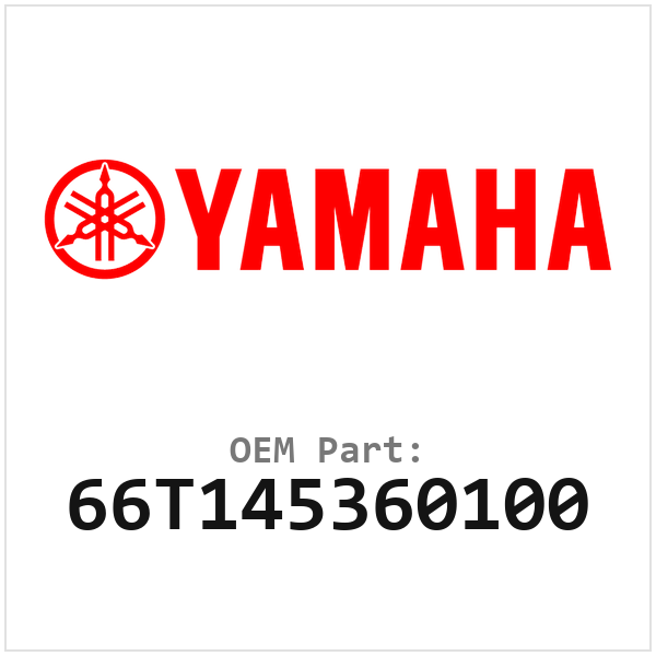 66T145360100
