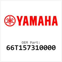66T157310000