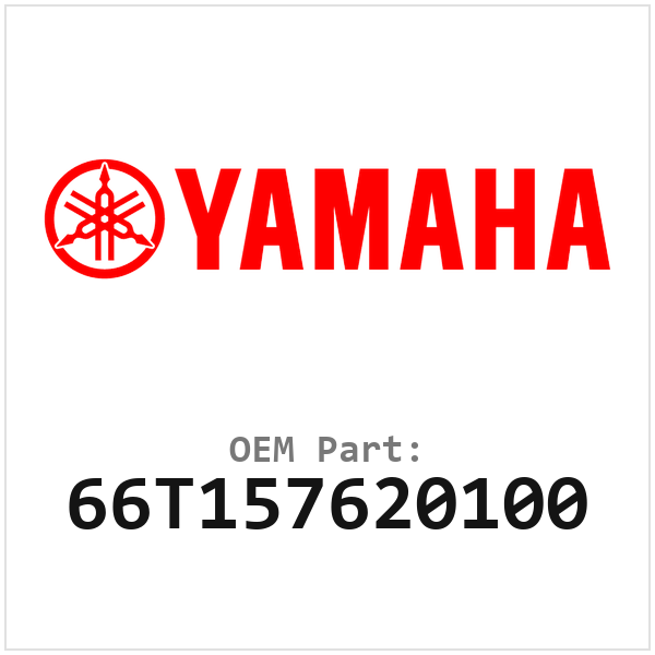 66T157620100