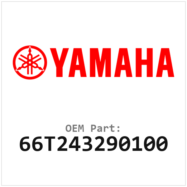 66T243290100