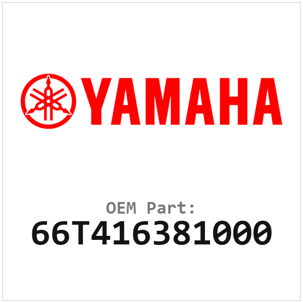 66T416381000