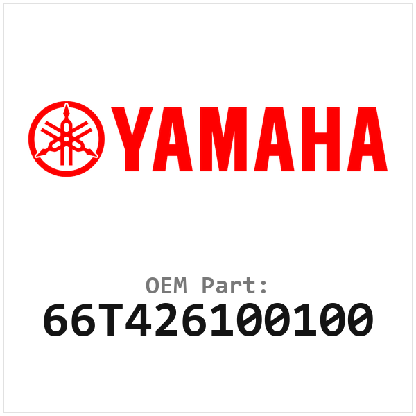 66T426100100