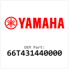 66T431440000