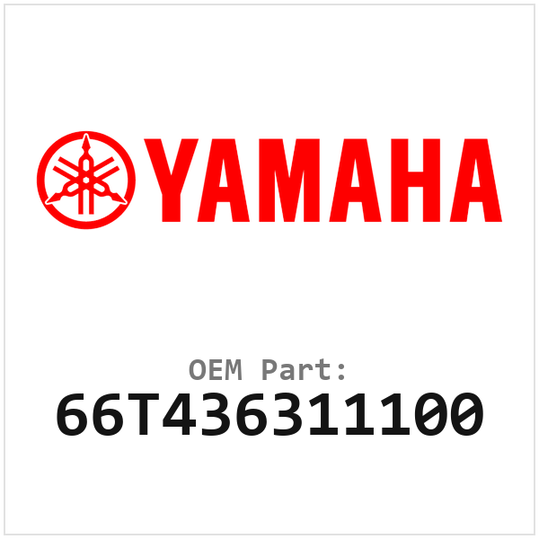 66T436311100