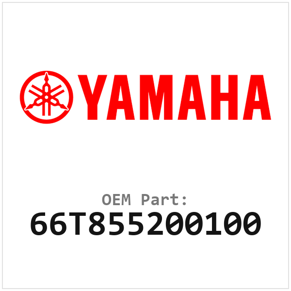 66T855200100