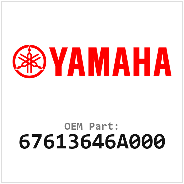 67613646A000