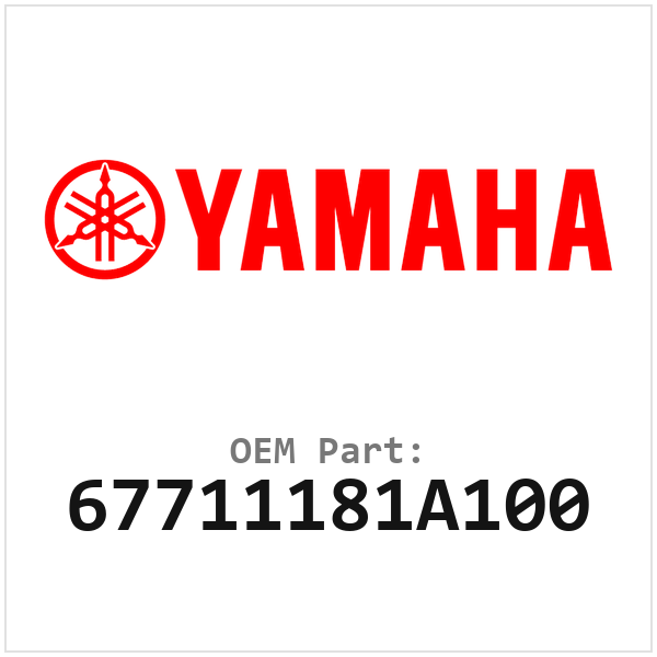 67711181A100