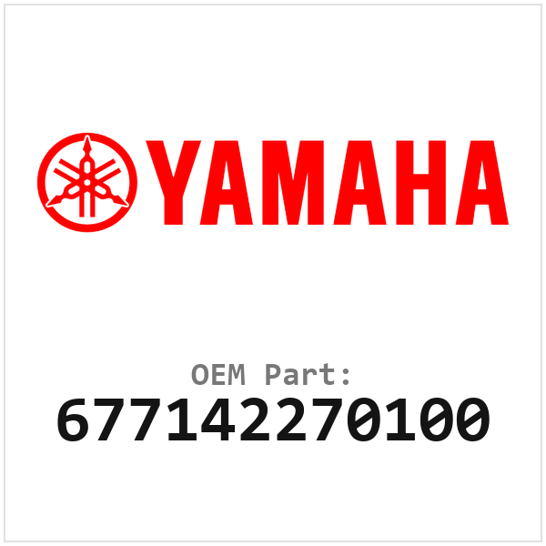 677142270100