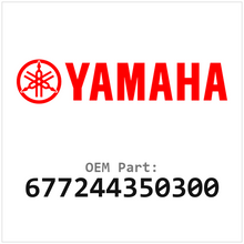 677244350300