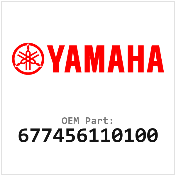 677456110100
