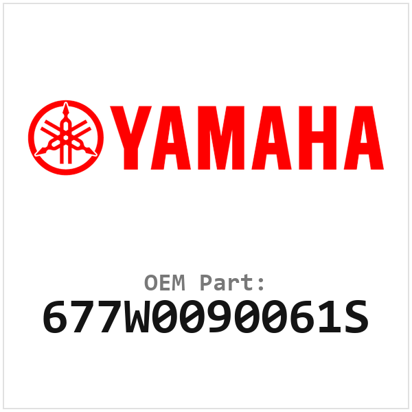677W0090061S