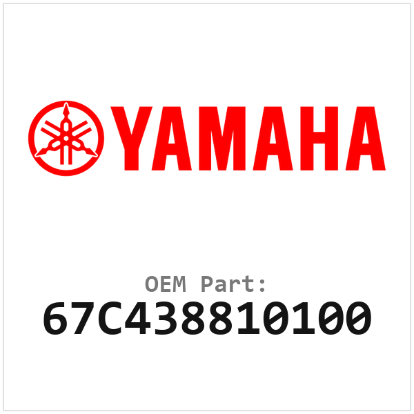 67C438810100