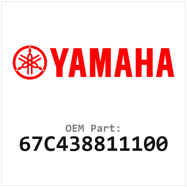67C438811100