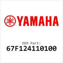 67F124110100