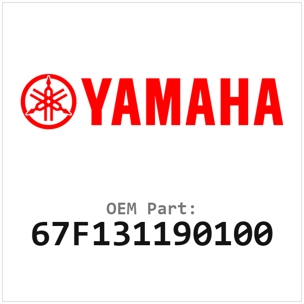 67F131190100