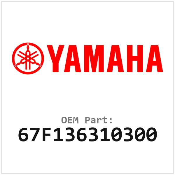 67F136310300