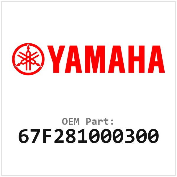 67F281000300