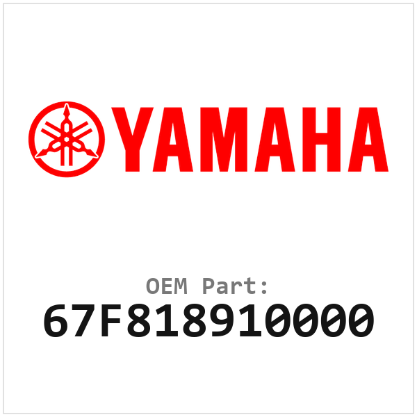 67F818910000