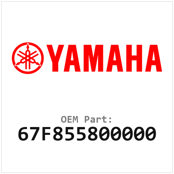 67F855800000