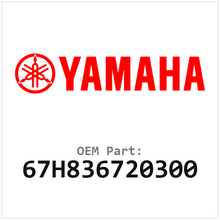 67H836720300