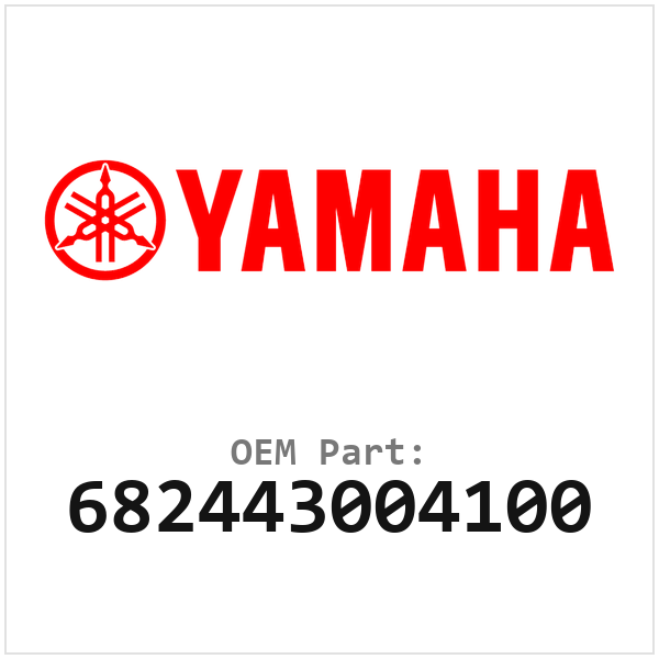 682443004100