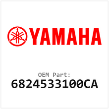 6824533100CA