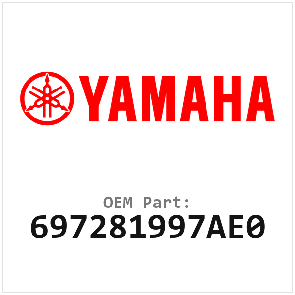 697281997AE0