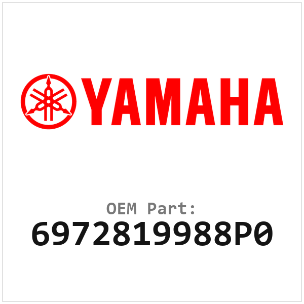 6972819988P0