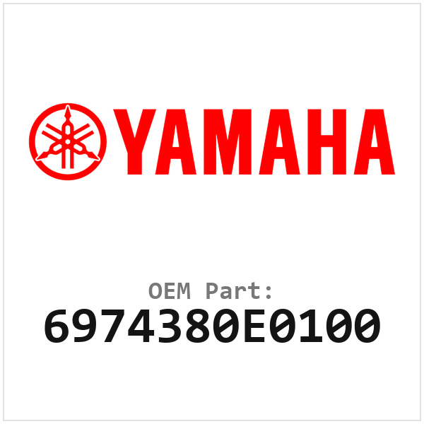 6974380E0100