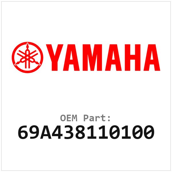 69A438110100