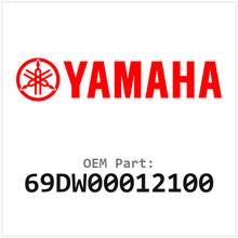 69DW00012100