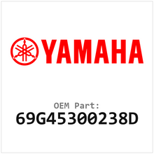 69G45300238D
