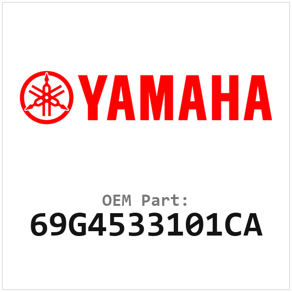 69G4533101CA