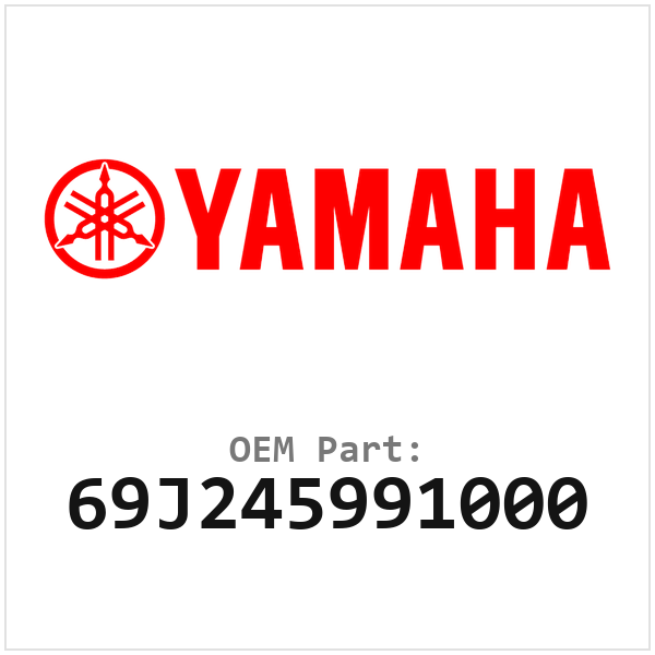69J245991000