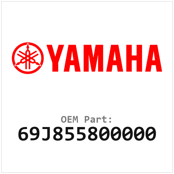 69J855800000