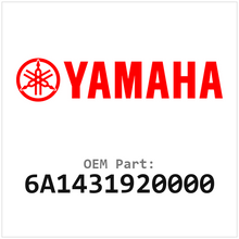 6A1431920000
