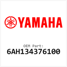 6AH134376100