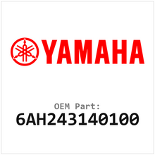6AH243140100