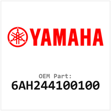 6AH244100100