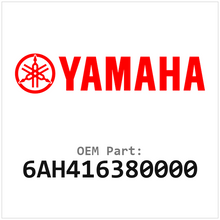 6AH416380000