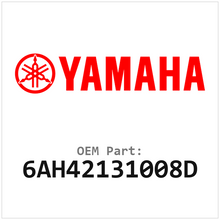 6AH42131008D
