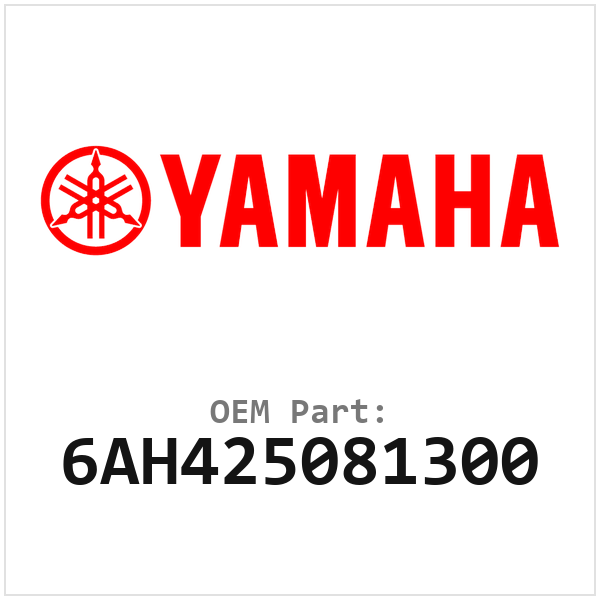 6AH425081300