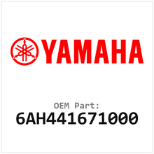 6AH441671000